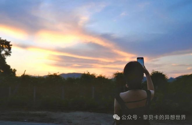 捕魚機：被金靖種草了這條裙子