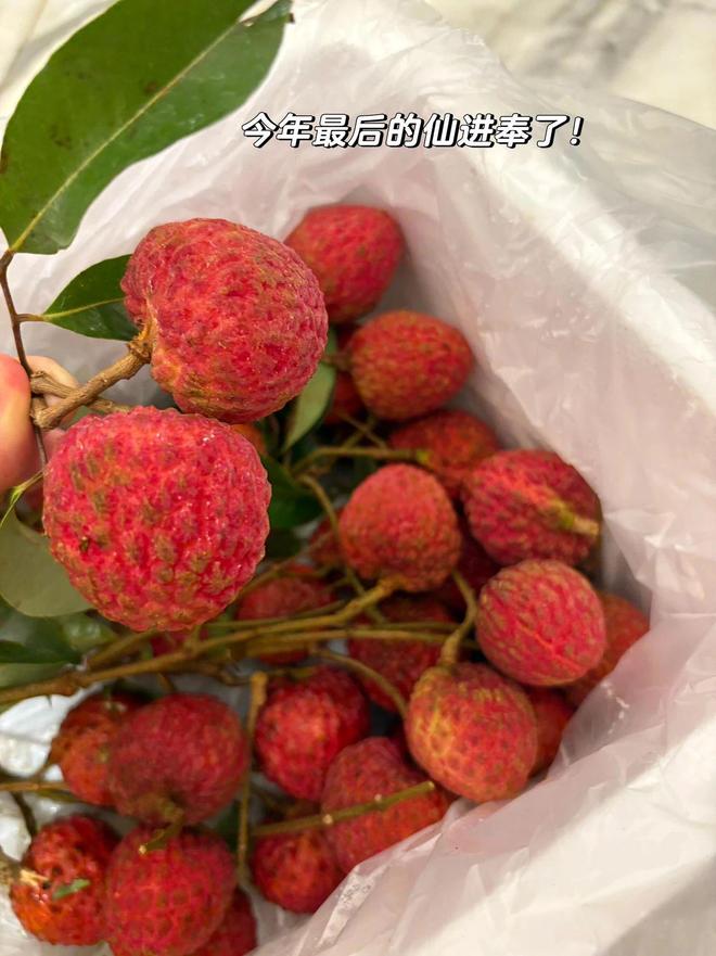 捕魚機：被金靖種草了這條裙子
